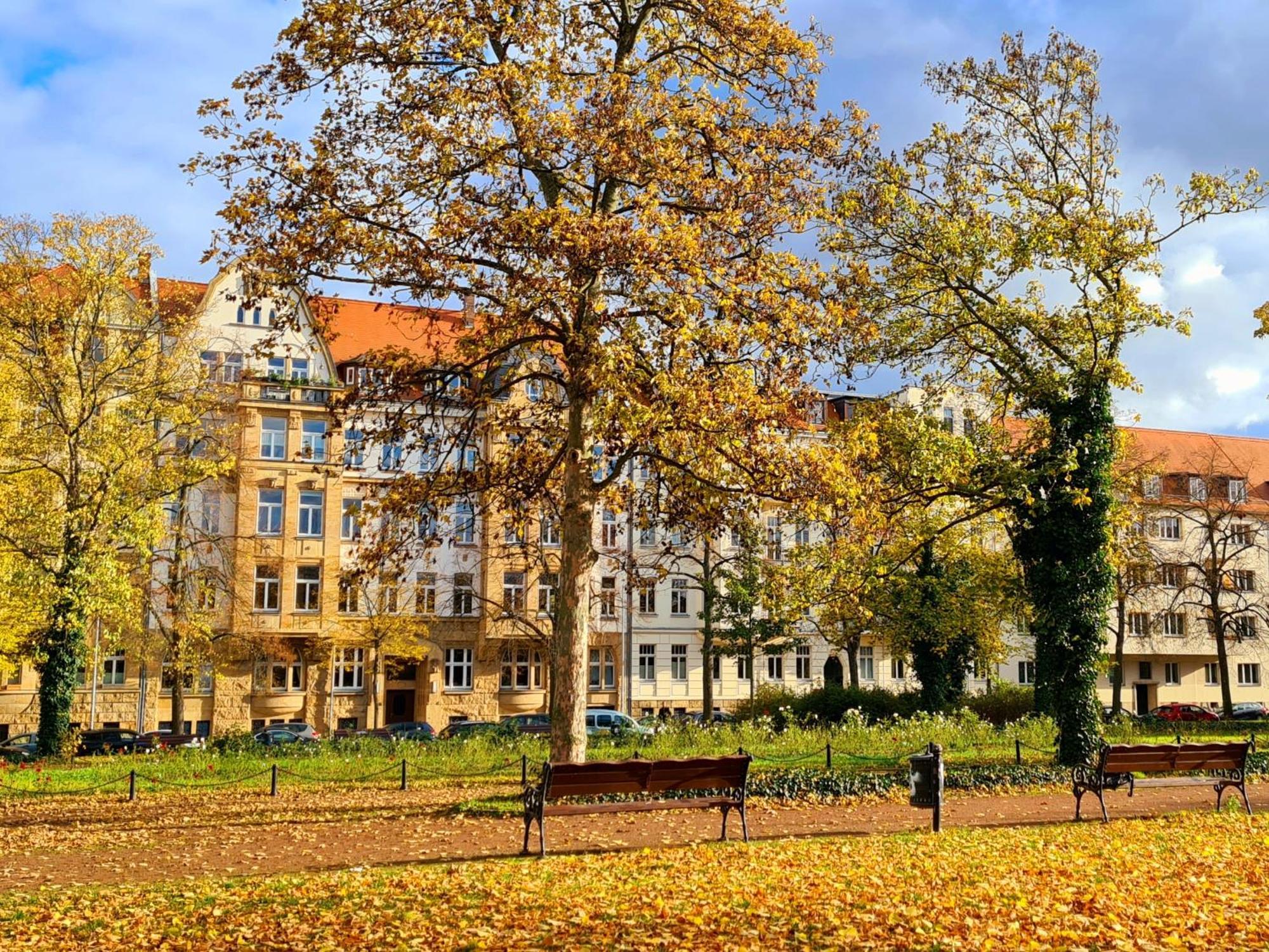 Kleinod Am Park - Zentrum-Suedost Apartamento Leipzig Exterior foto